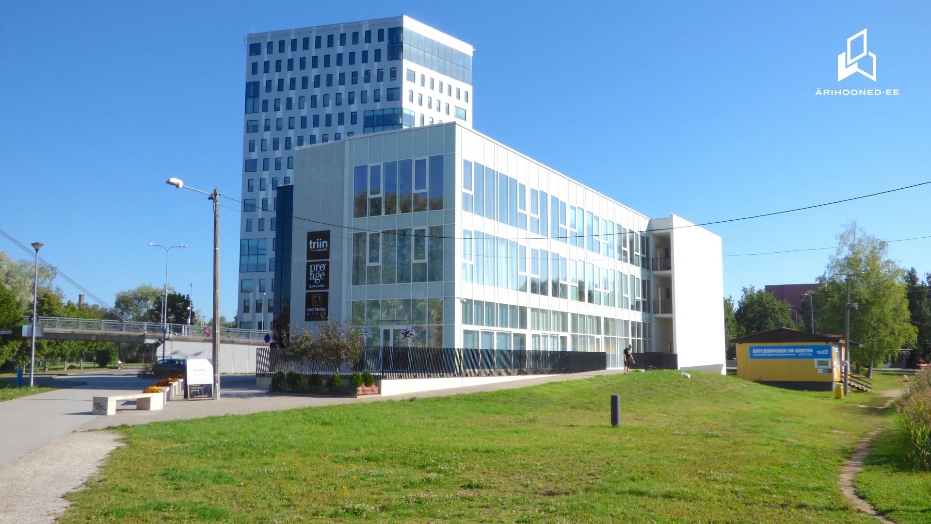 Paju 1a - pilt 2