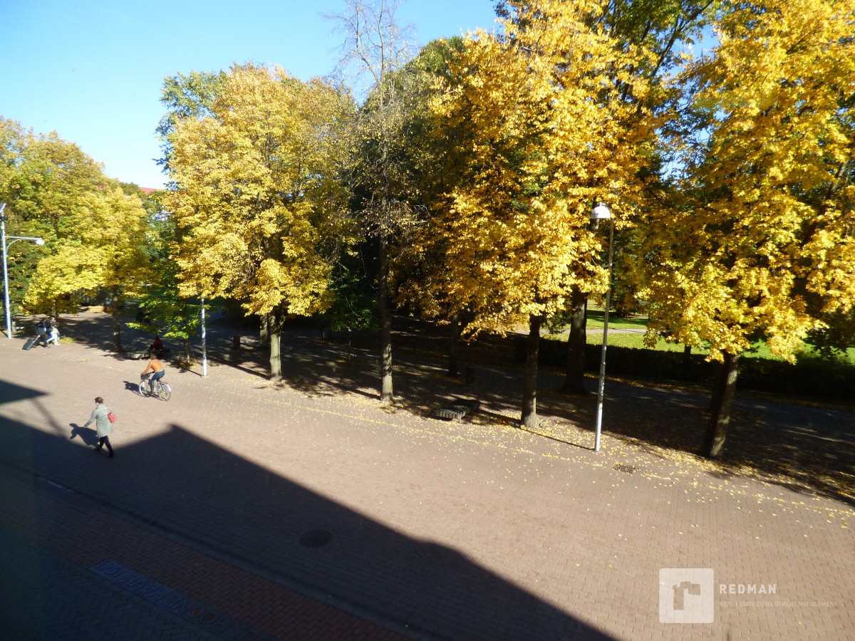 Pakkumine 681 - pilt 8