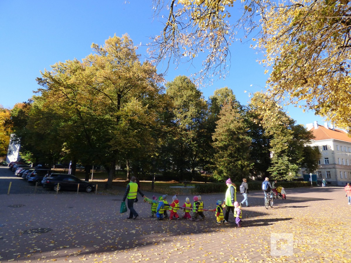 Pakkumine 681 - pilt 10